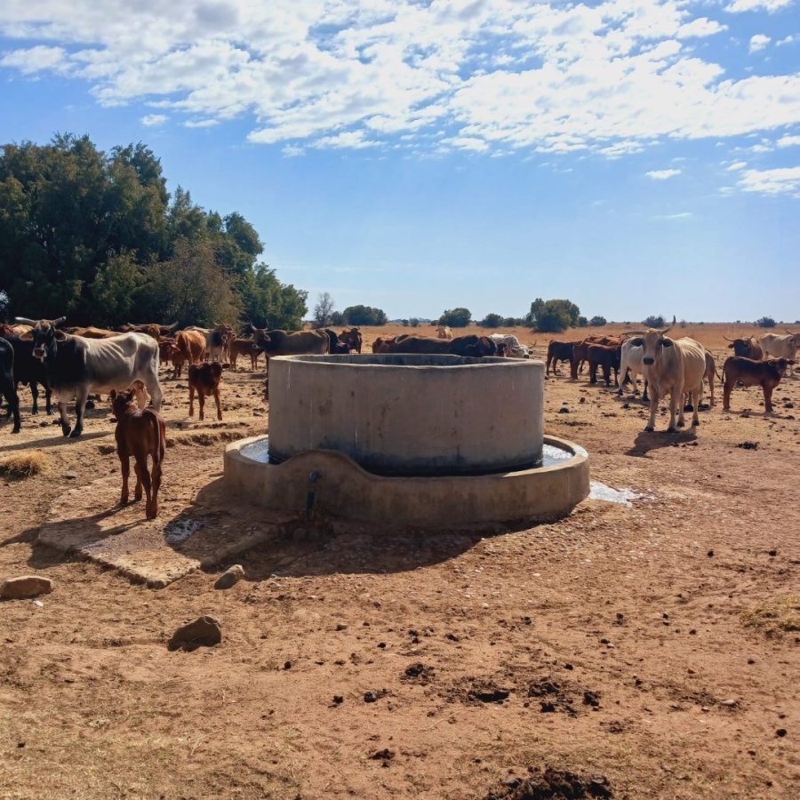  Bedroom Property for Sale in Bloemhof Rural North West